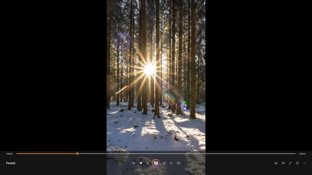 Vídeo Vertical de la Puesta de Sol en el Bosque Invernal